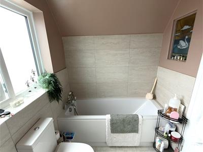 Picture 16